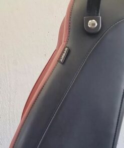 2015 Mustang Red leather seats