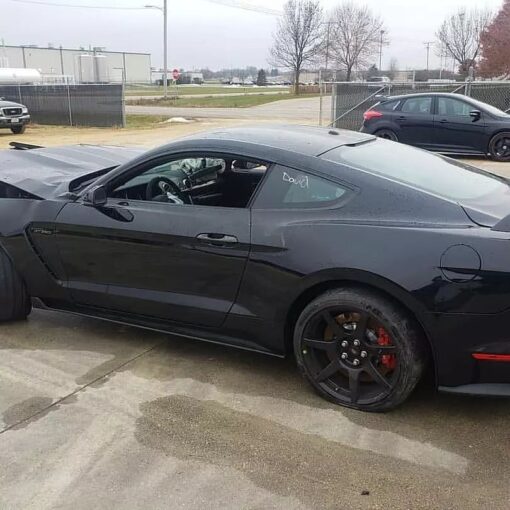 2019 GT 350R