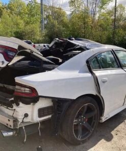 2017 Dodge Charger SRT Hellcat