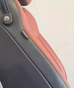 2015 Mustang Red leather seats