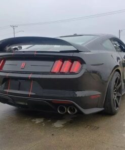 2019 GT 350R