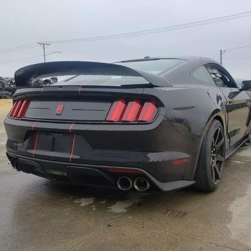 2019 GT 350R