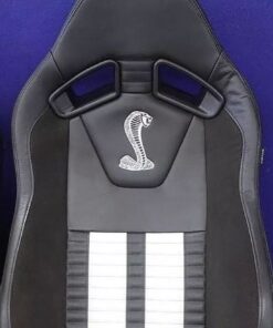 2014-2019 Ford Mustang Shelby recaro seats