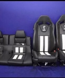 2014-2019 Ford Mustang Shelby recaro seats