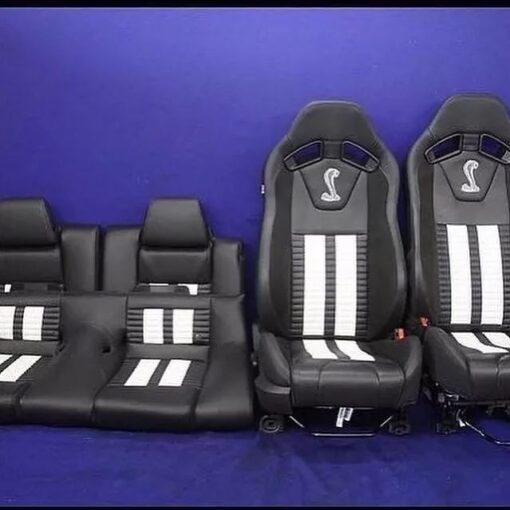 2014-2019 Ford Mustang Shelby recaro seats