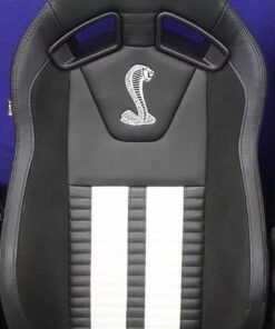 2014-2019 Ford Mustang Shelby recaro seats