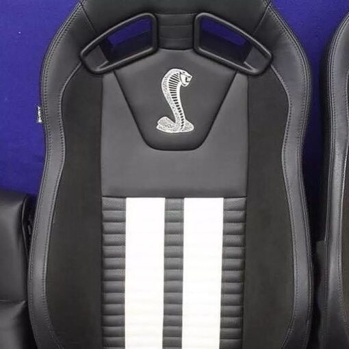 2014-2019 Ford Mustang Shelby recaro seats